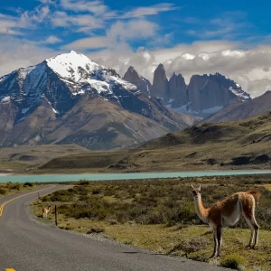 Brinde no Alto da Cordilheira